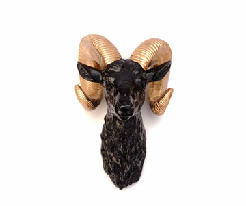 Faux Taxidermy Ram Head - Black