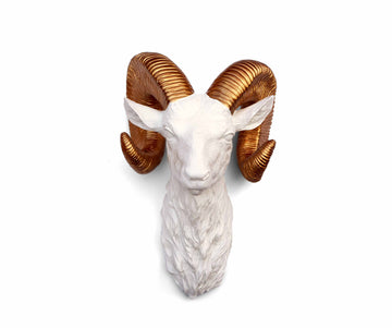 Faux Taxidermy Ram Head - White